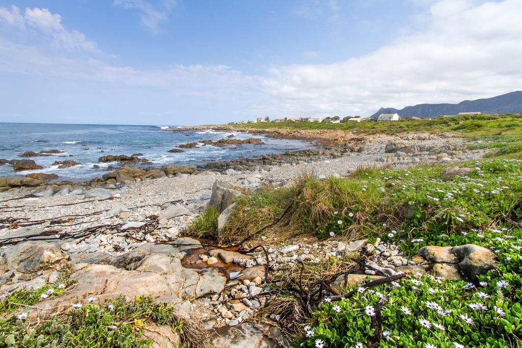 Schulphoek Seafront House Hermanus Zewnętrze zdjęcie The coast of the island of Ons
